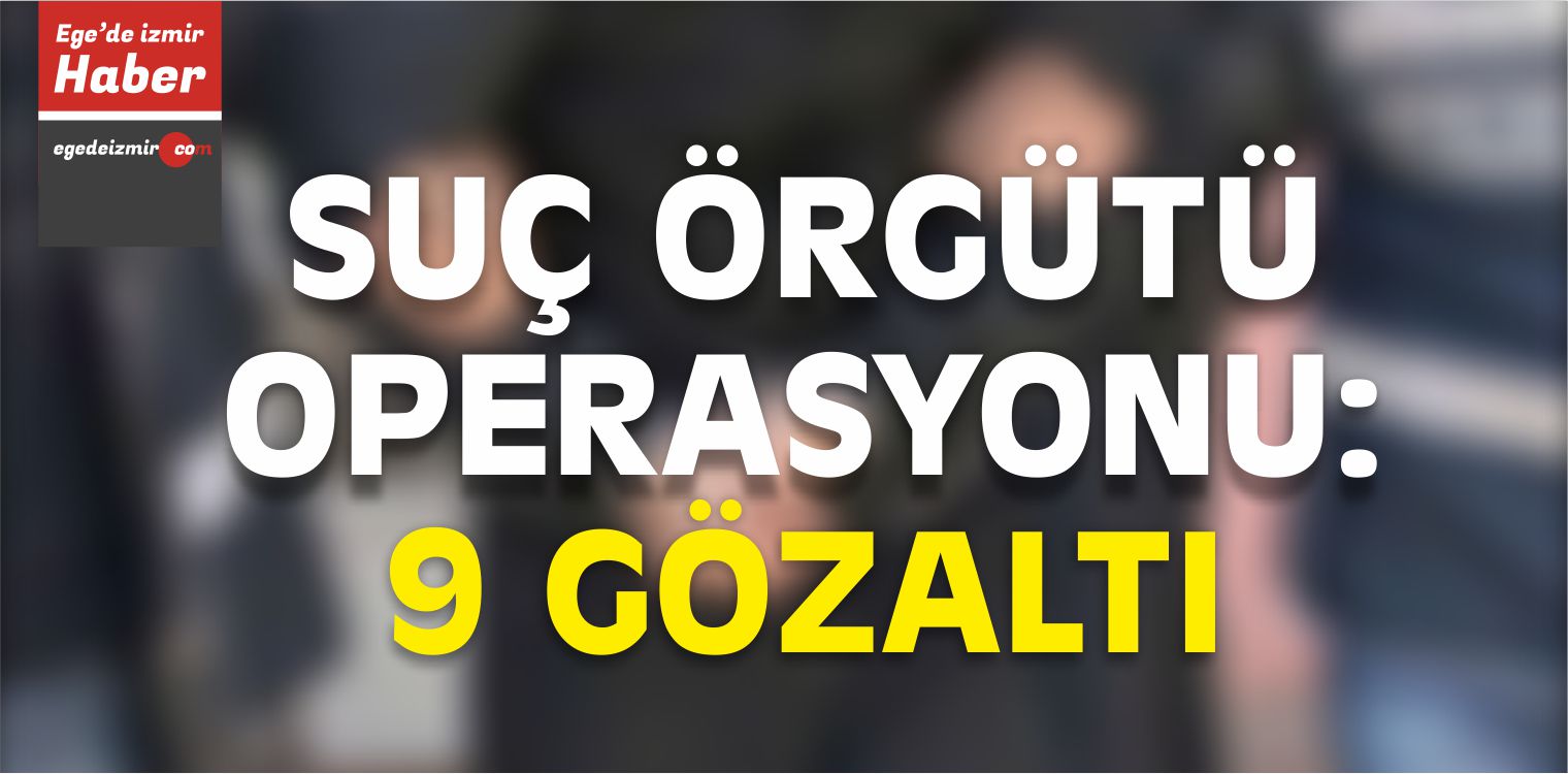 Suç Örgütü