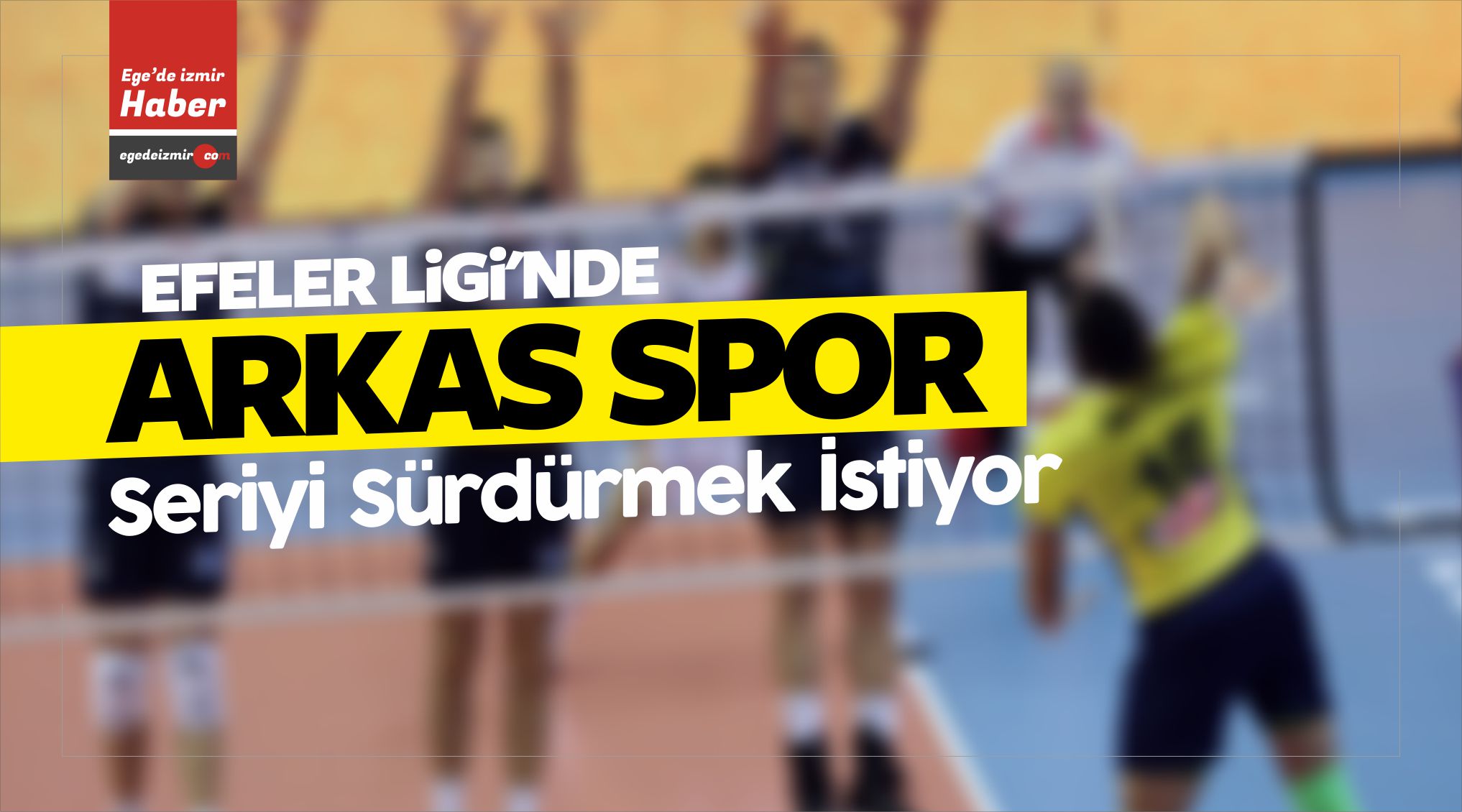 Efeler Ligi'nde