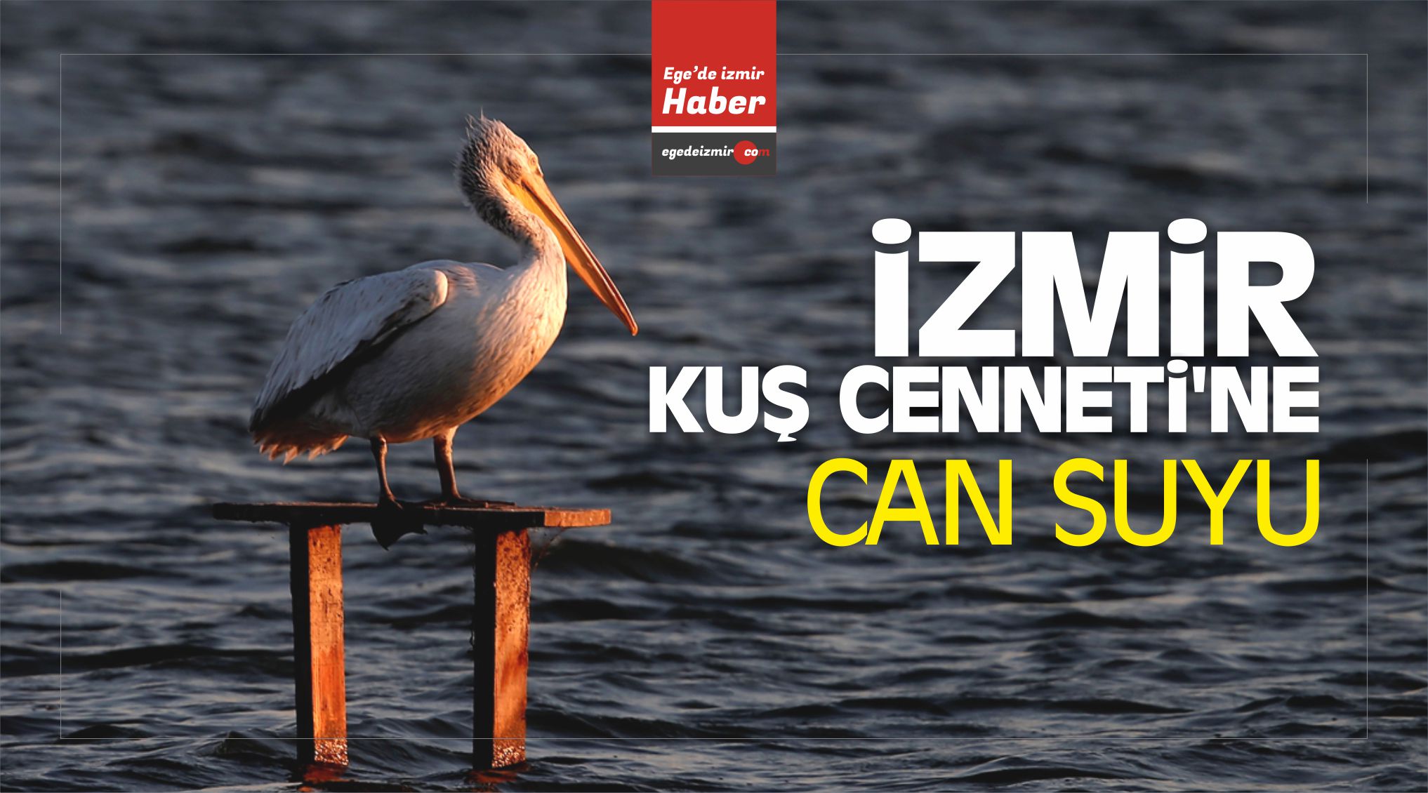 izmir Kuş Cenneti