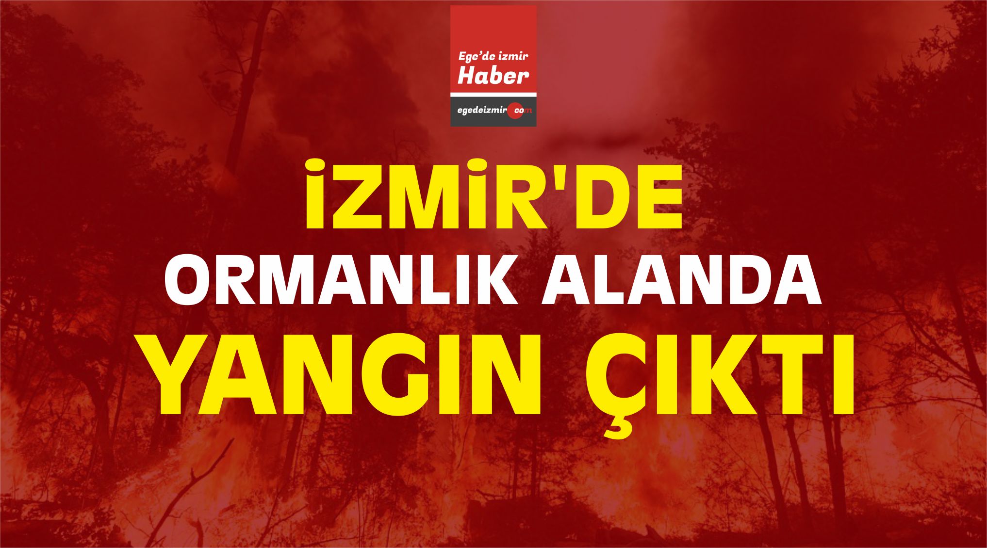 izmir yangın