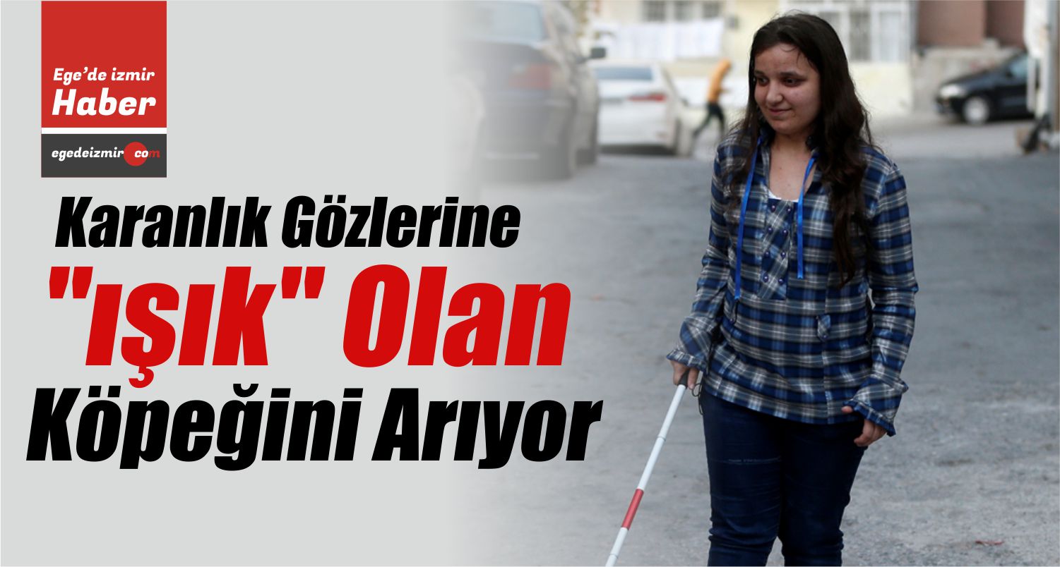 Görme Engelli Kız Köpeğini Arıyor