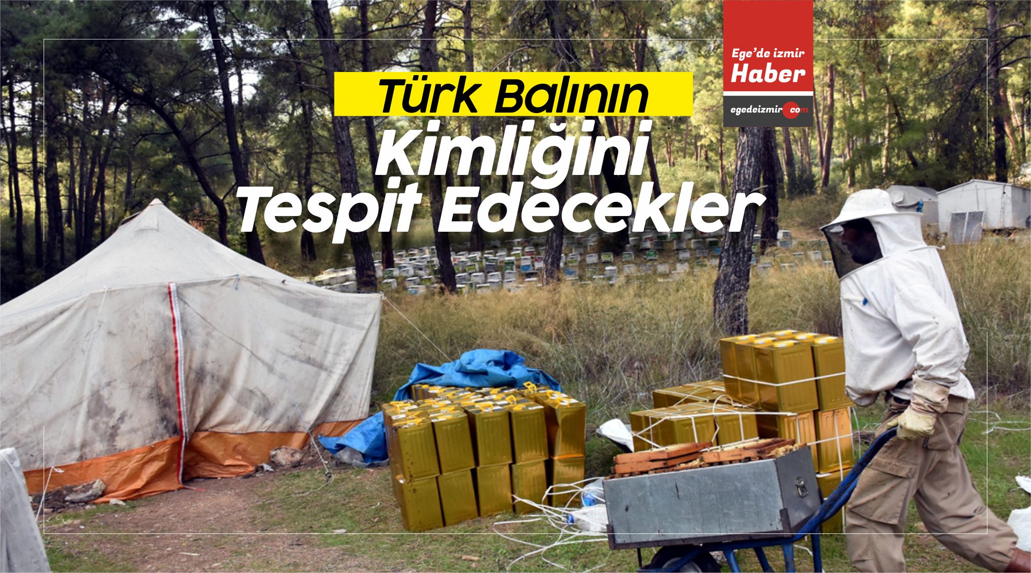 kimliklerini tespit