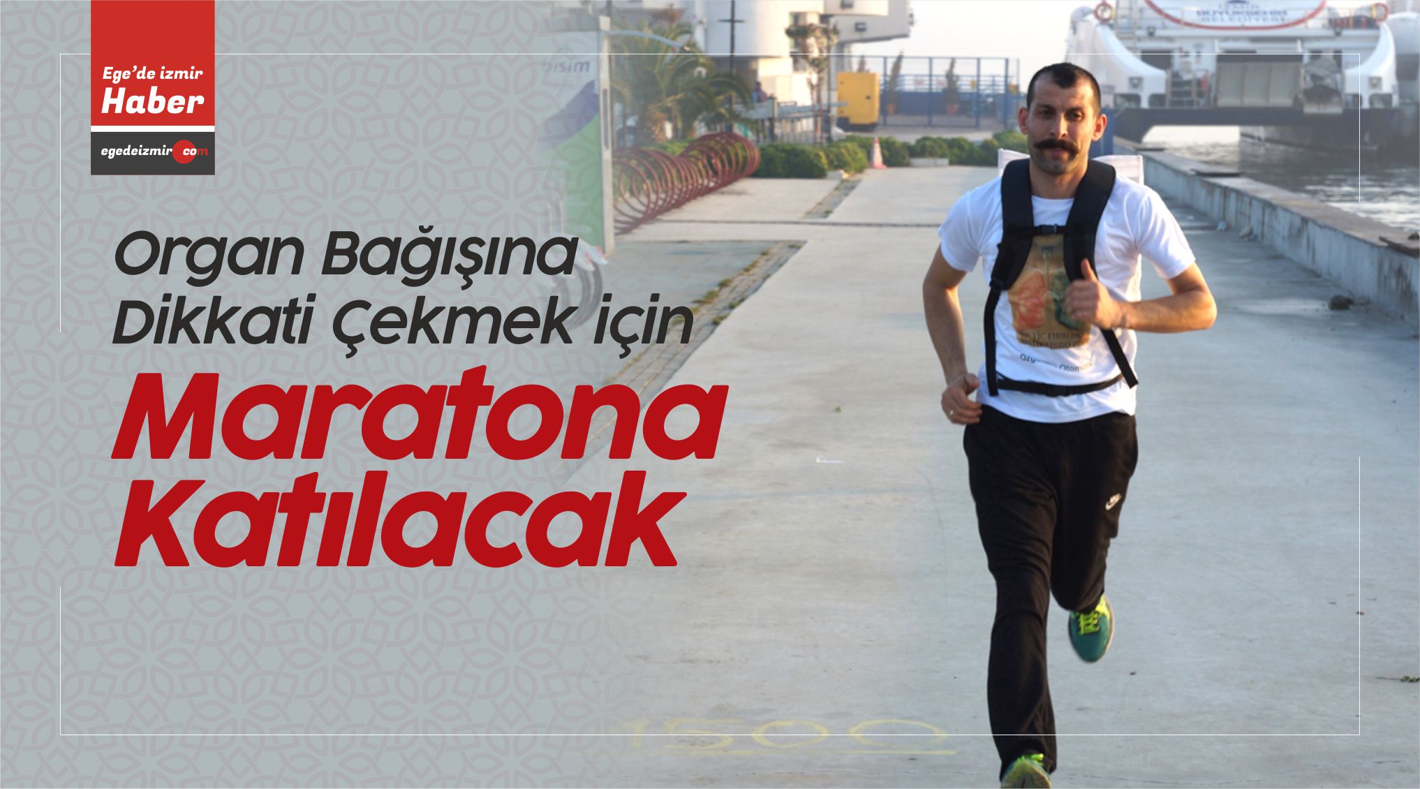 organ bağışına