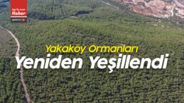 Manisa ile İzmir Arasındaki Yakaköy Ormanları Yeniden Yeşillendi