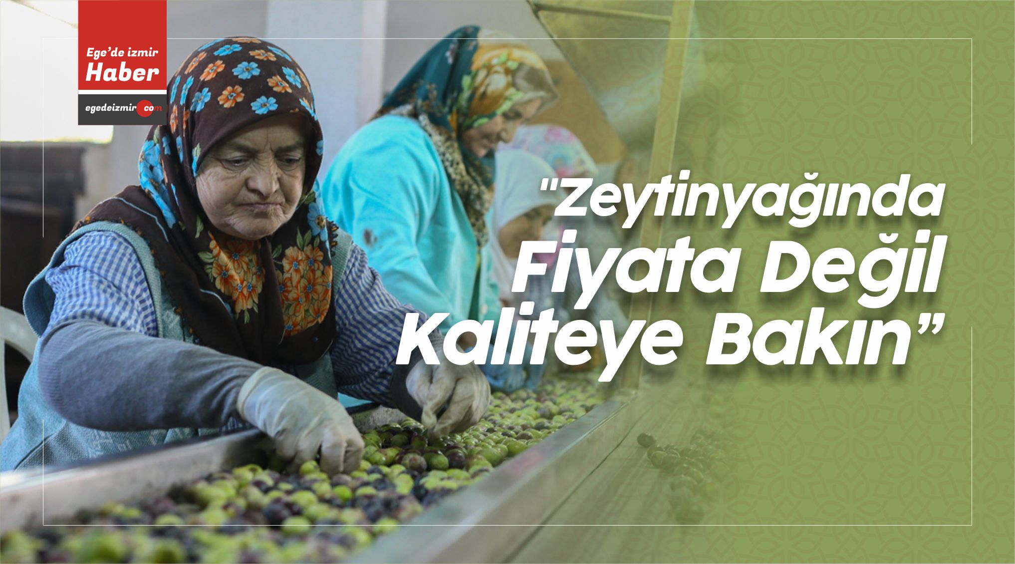 Zeytinyağında fiyata