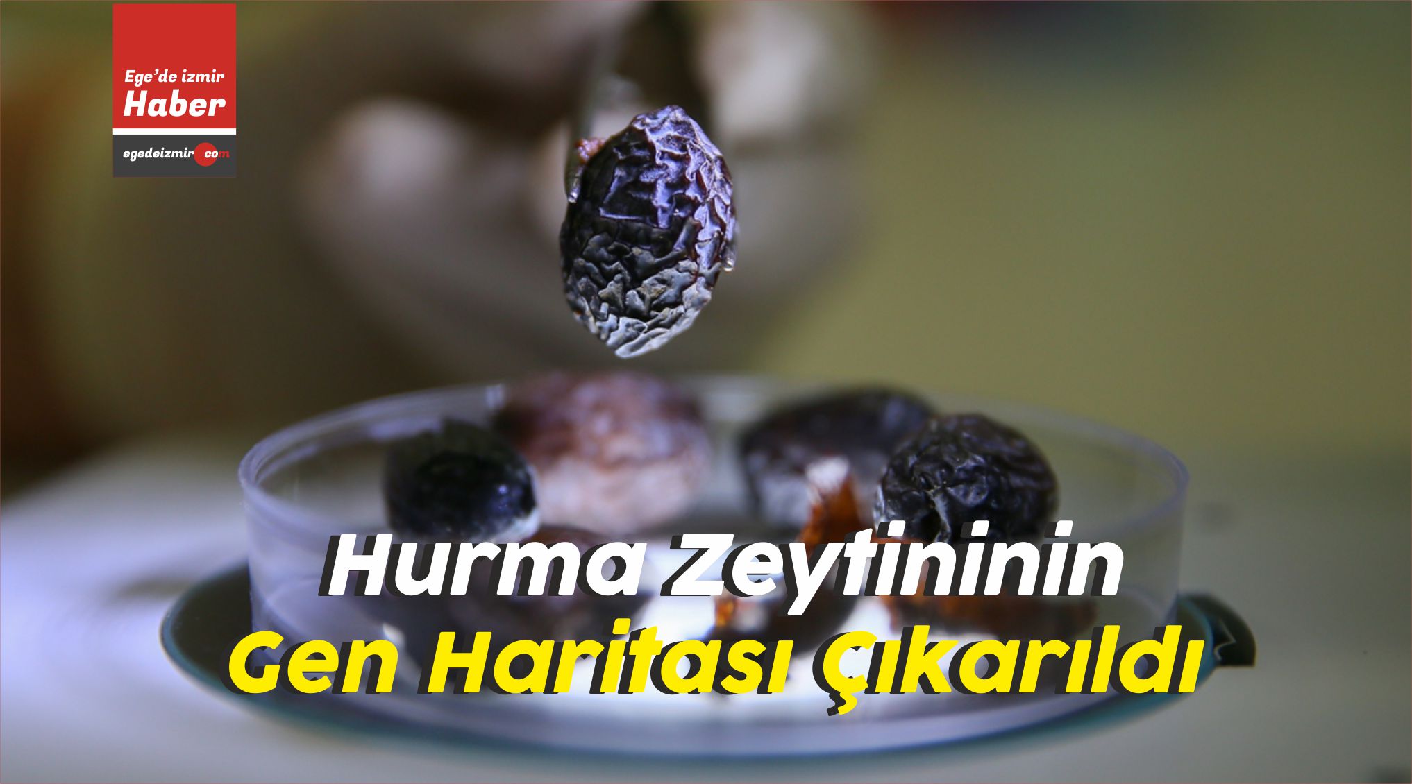 İzmir Yüksek Teknoloji