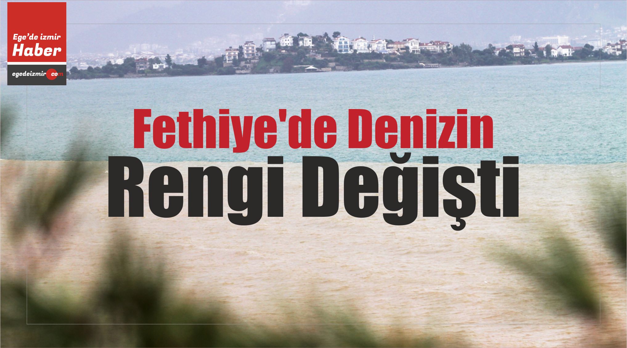 Denizin Rengi Değişti