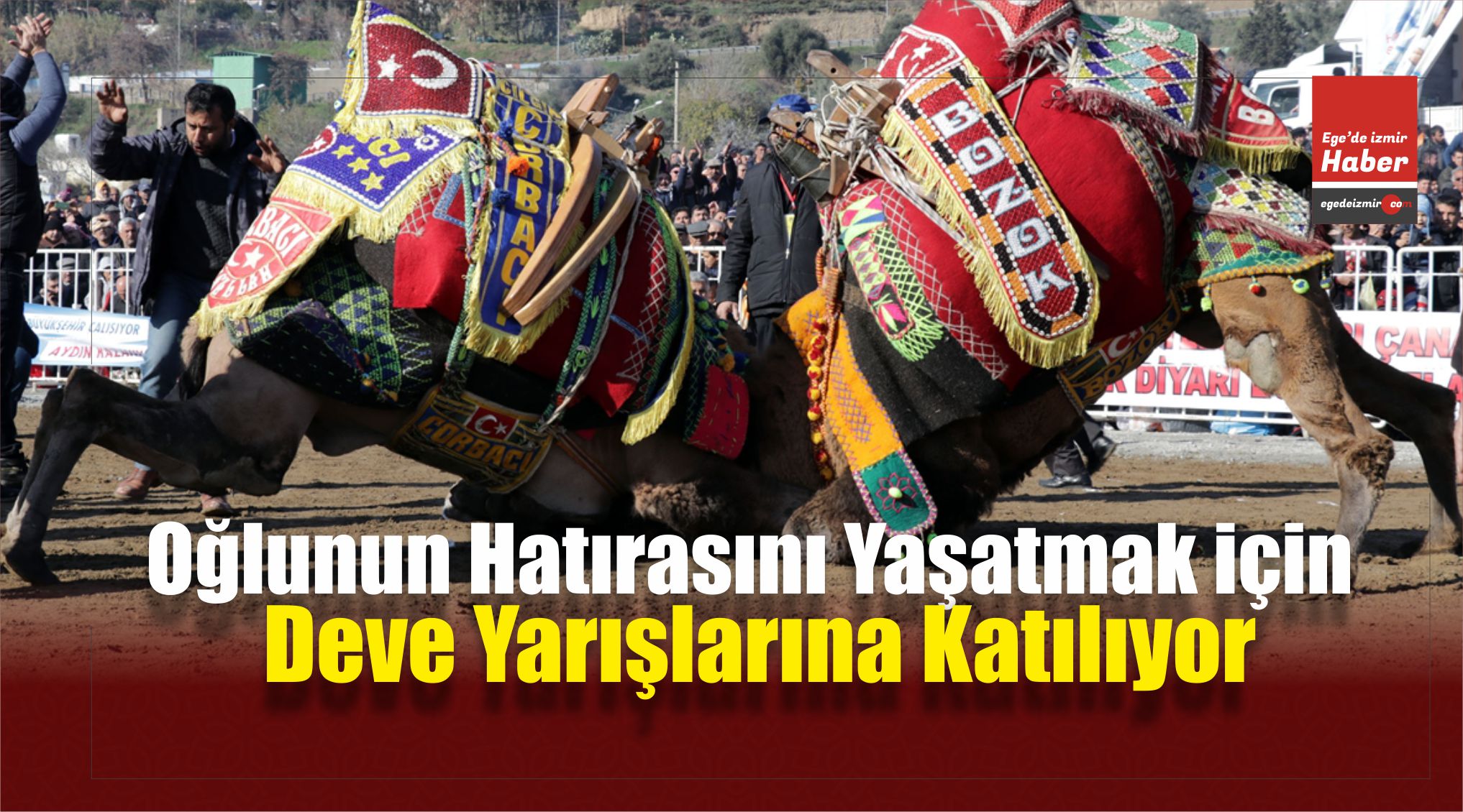 Deve Yarışları