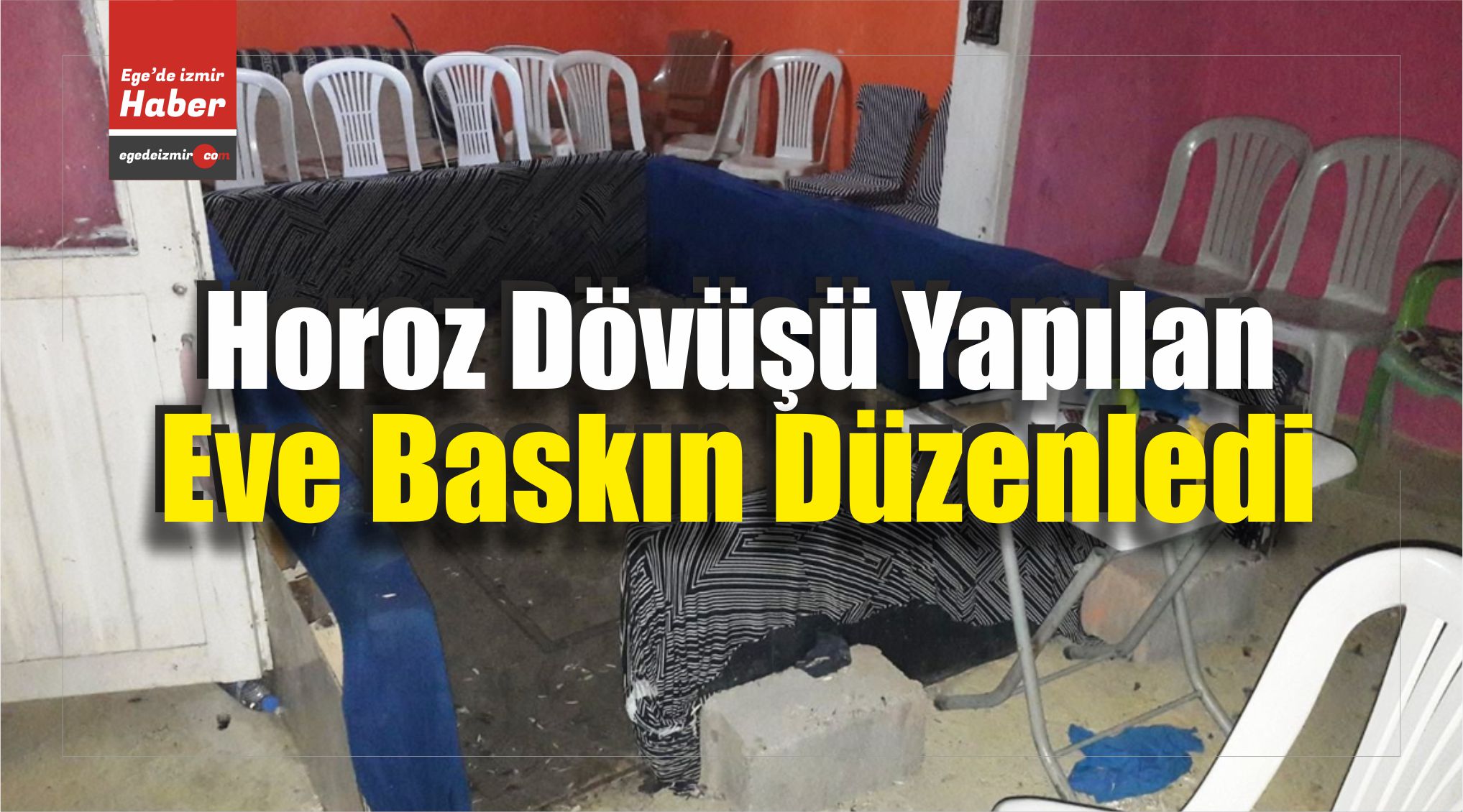 Horoz Dövüşü