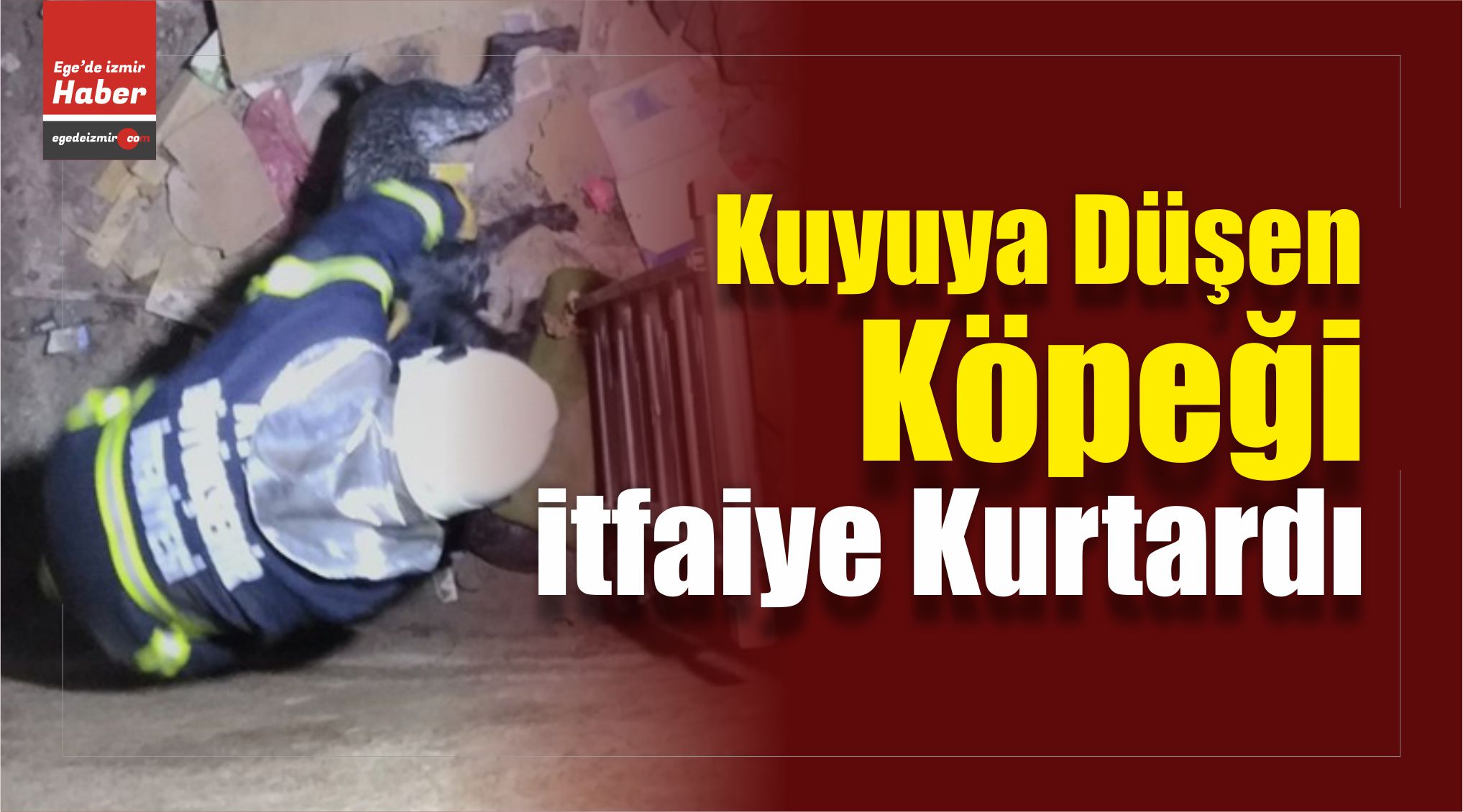 Kuyuya Düşen Köpek Kurtarıldı