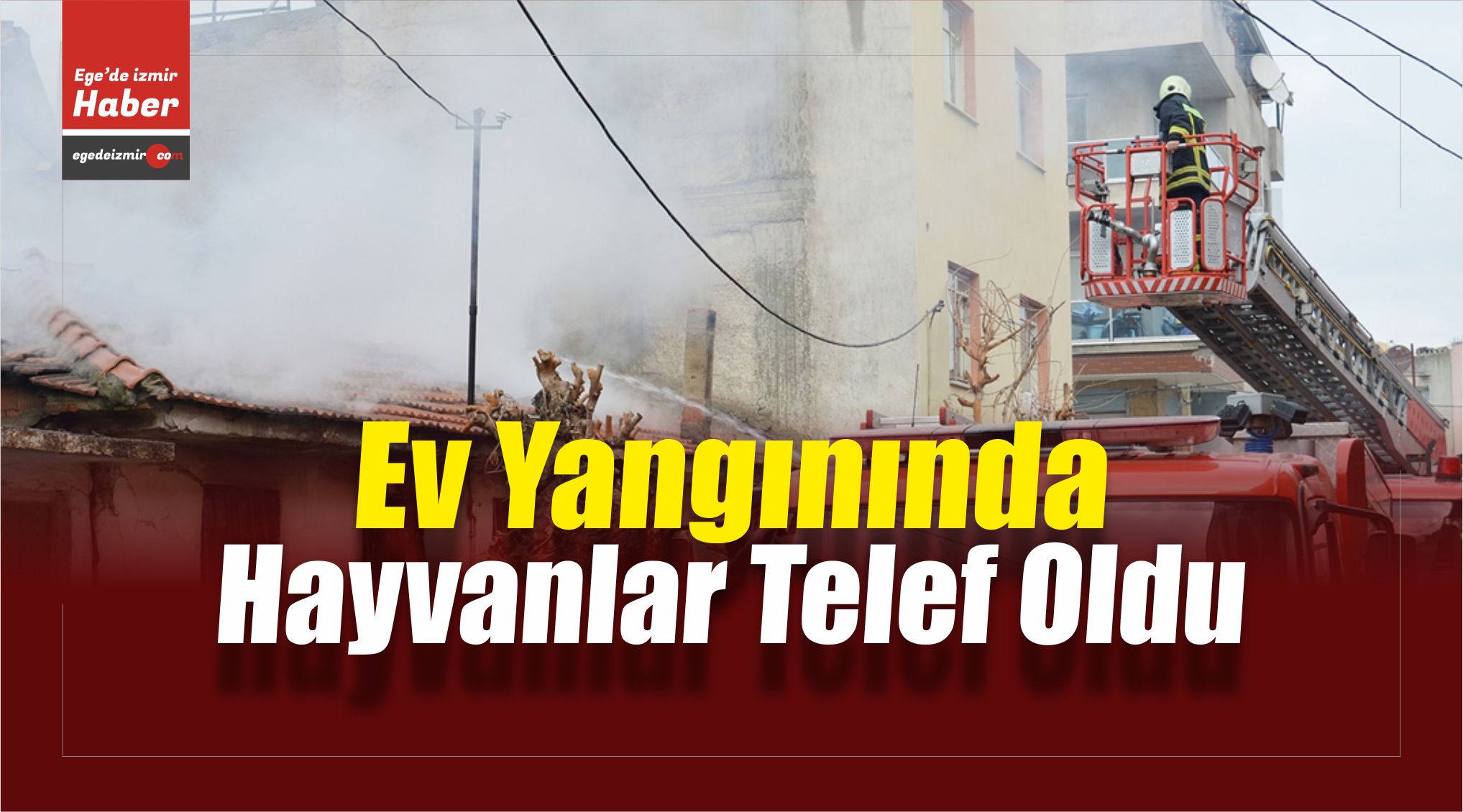 Yangın