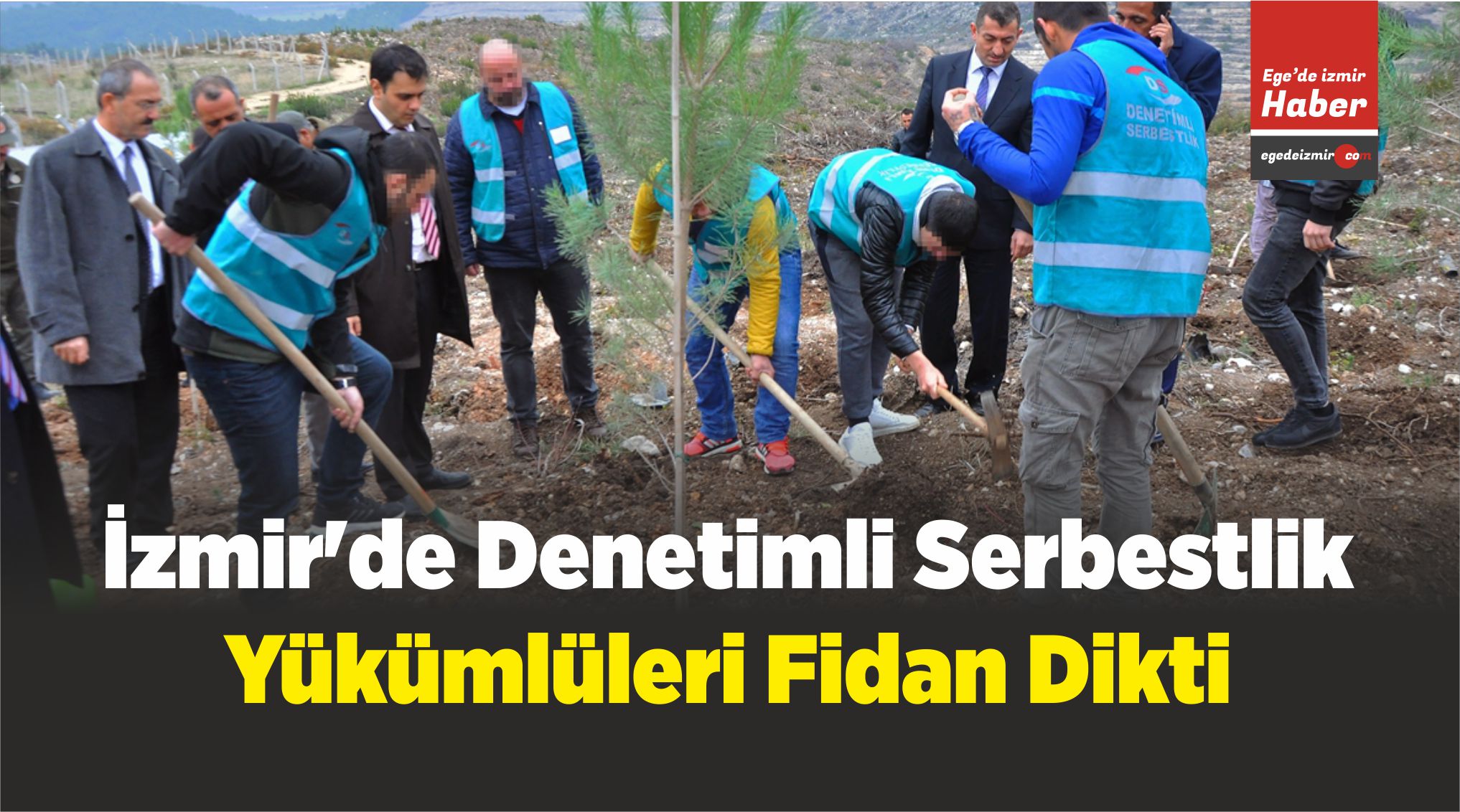 Serbestlik