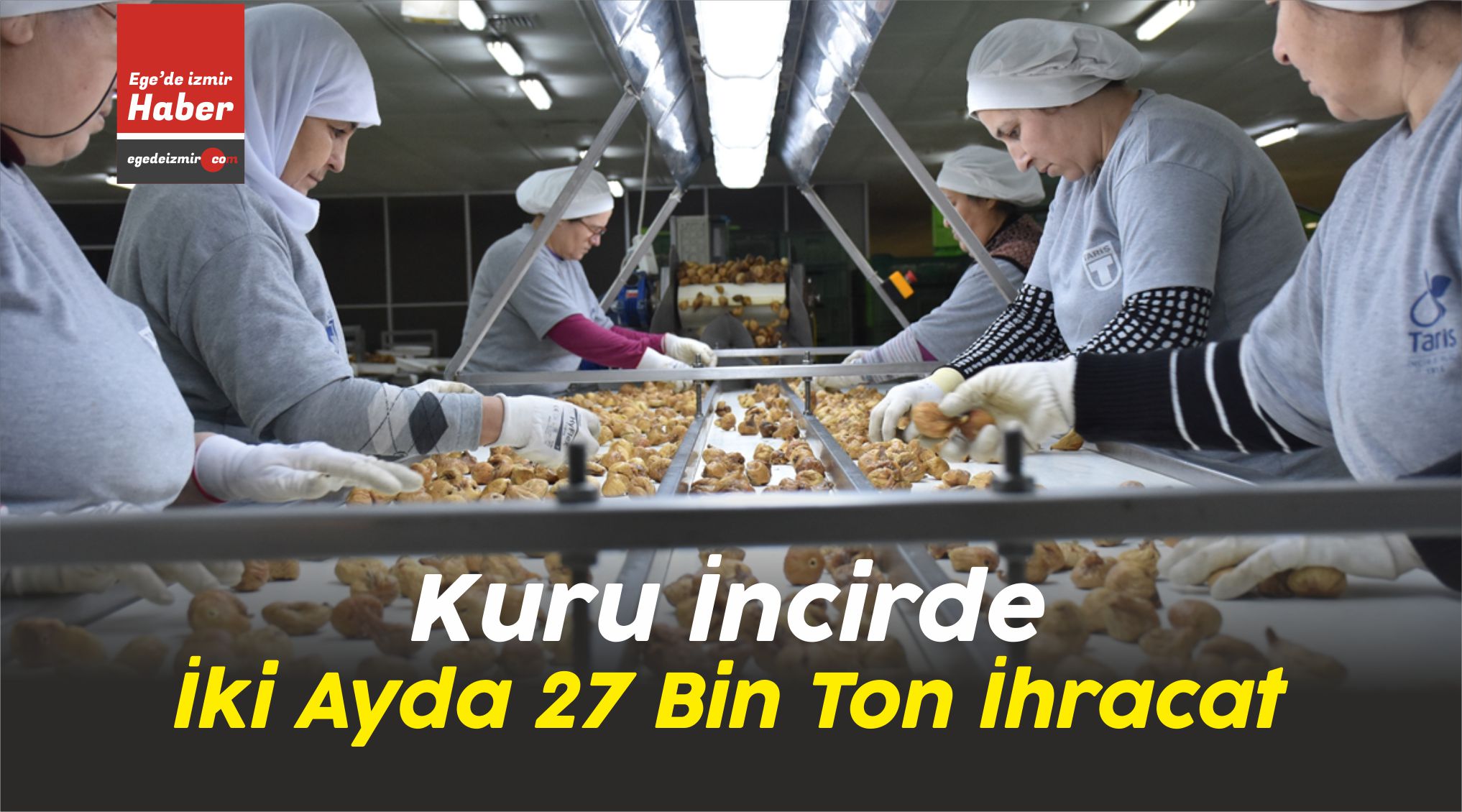 Kuru İncirde