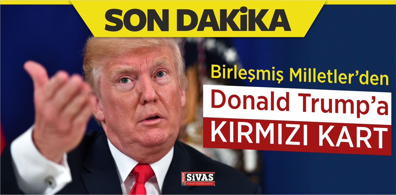 Birleşmiş Milletler