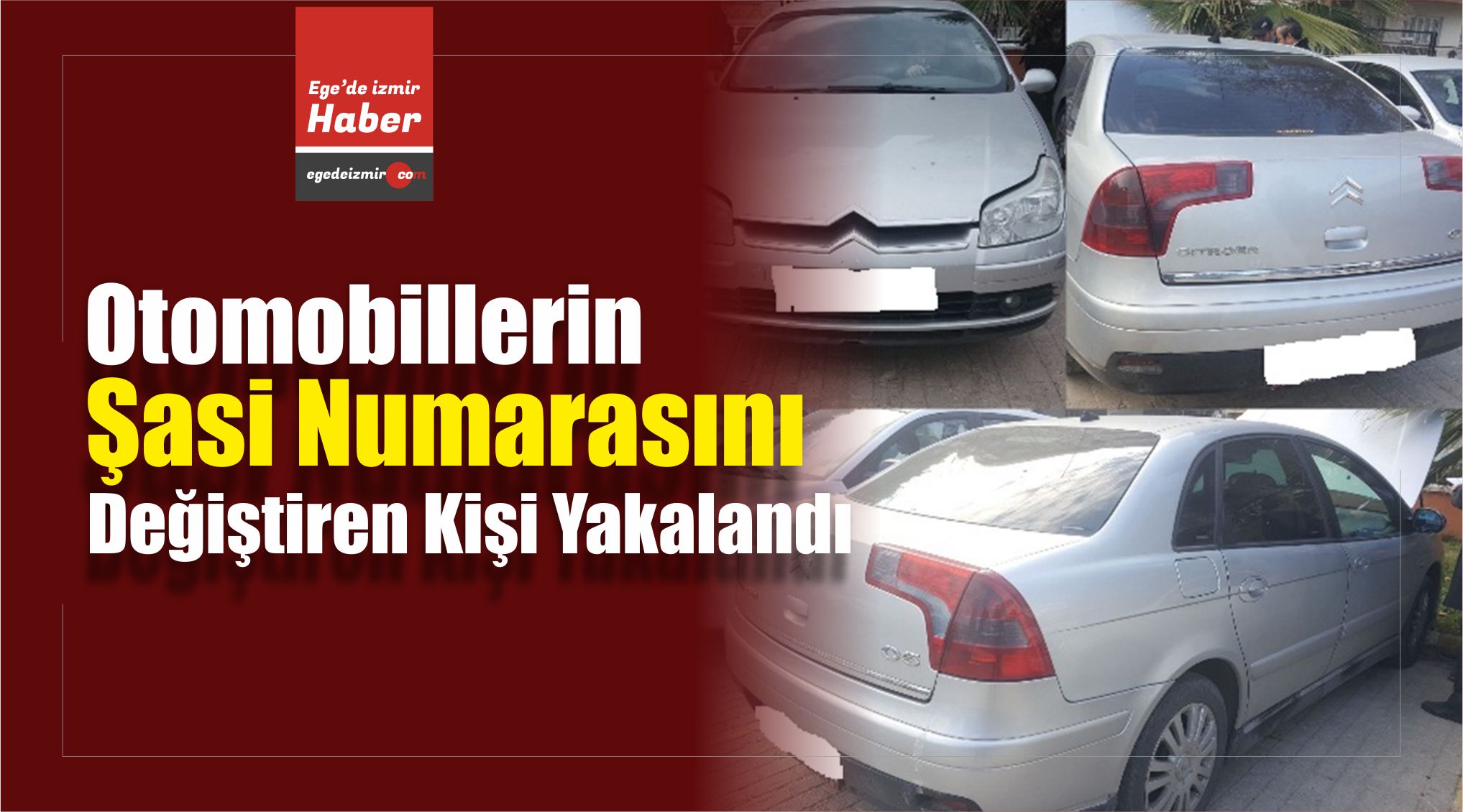 Şasi Numarası