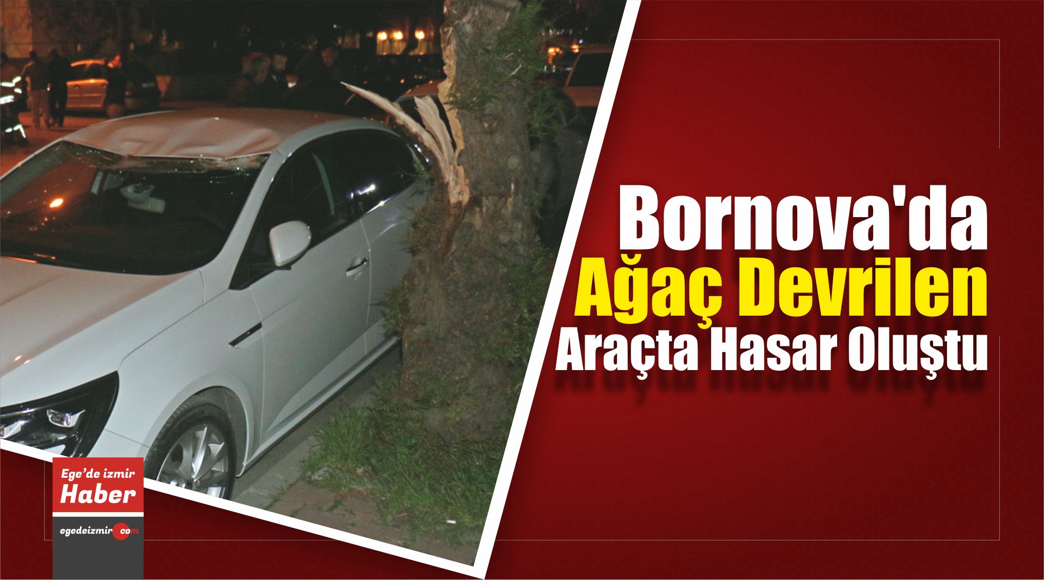 Ağaç