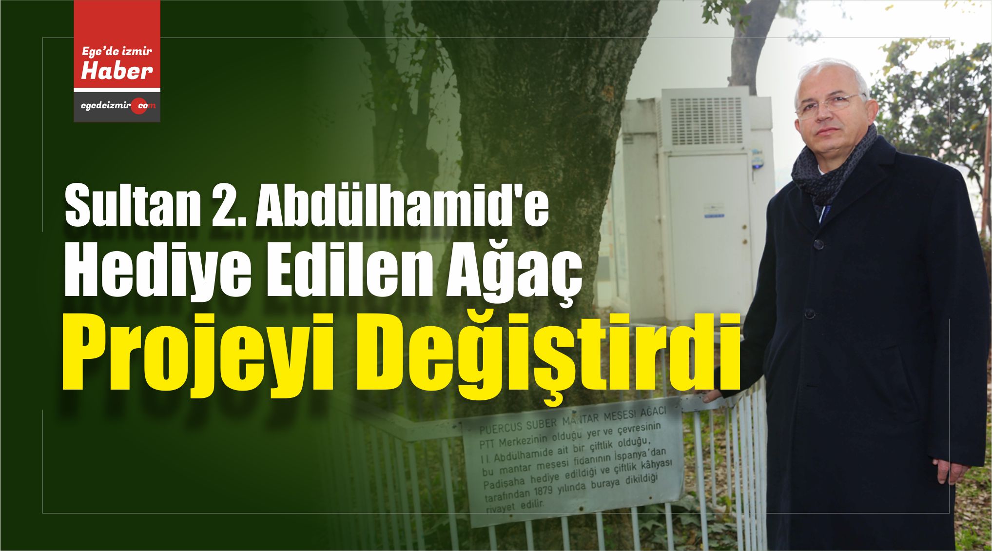 Ağaç