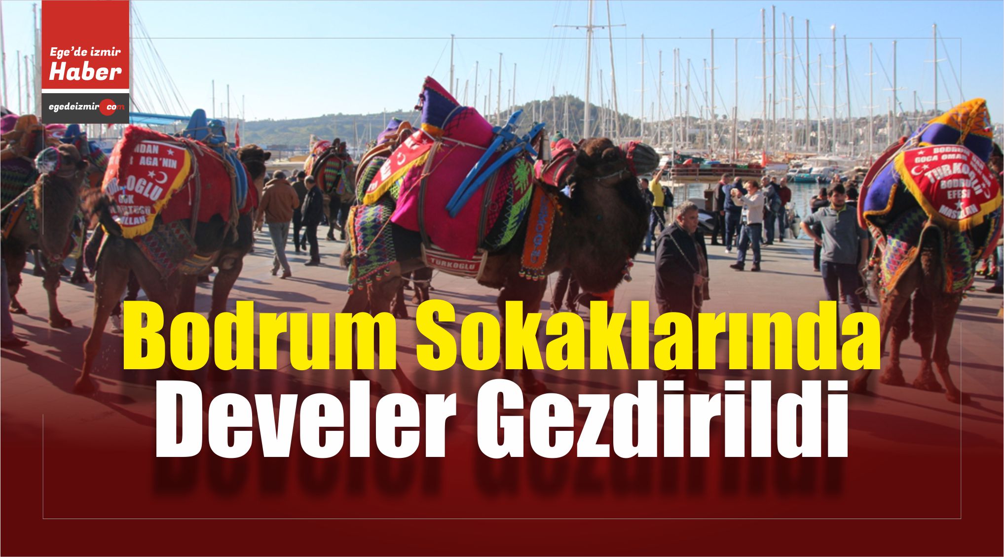 Develer