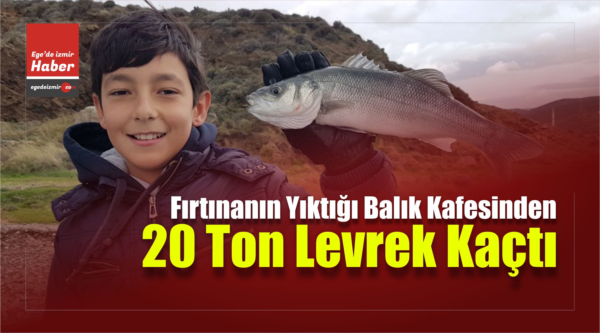 Levrek