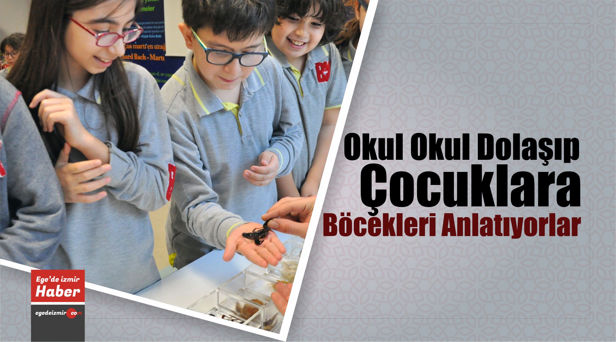 böcekleri
