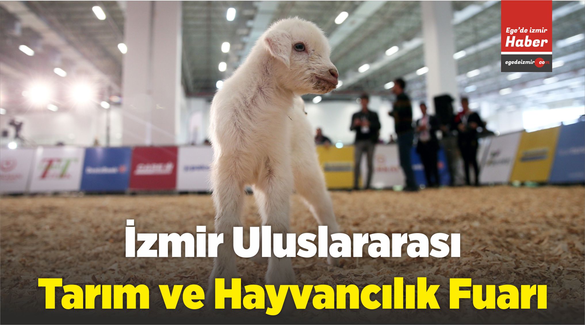 Hayvancılık Fuarı