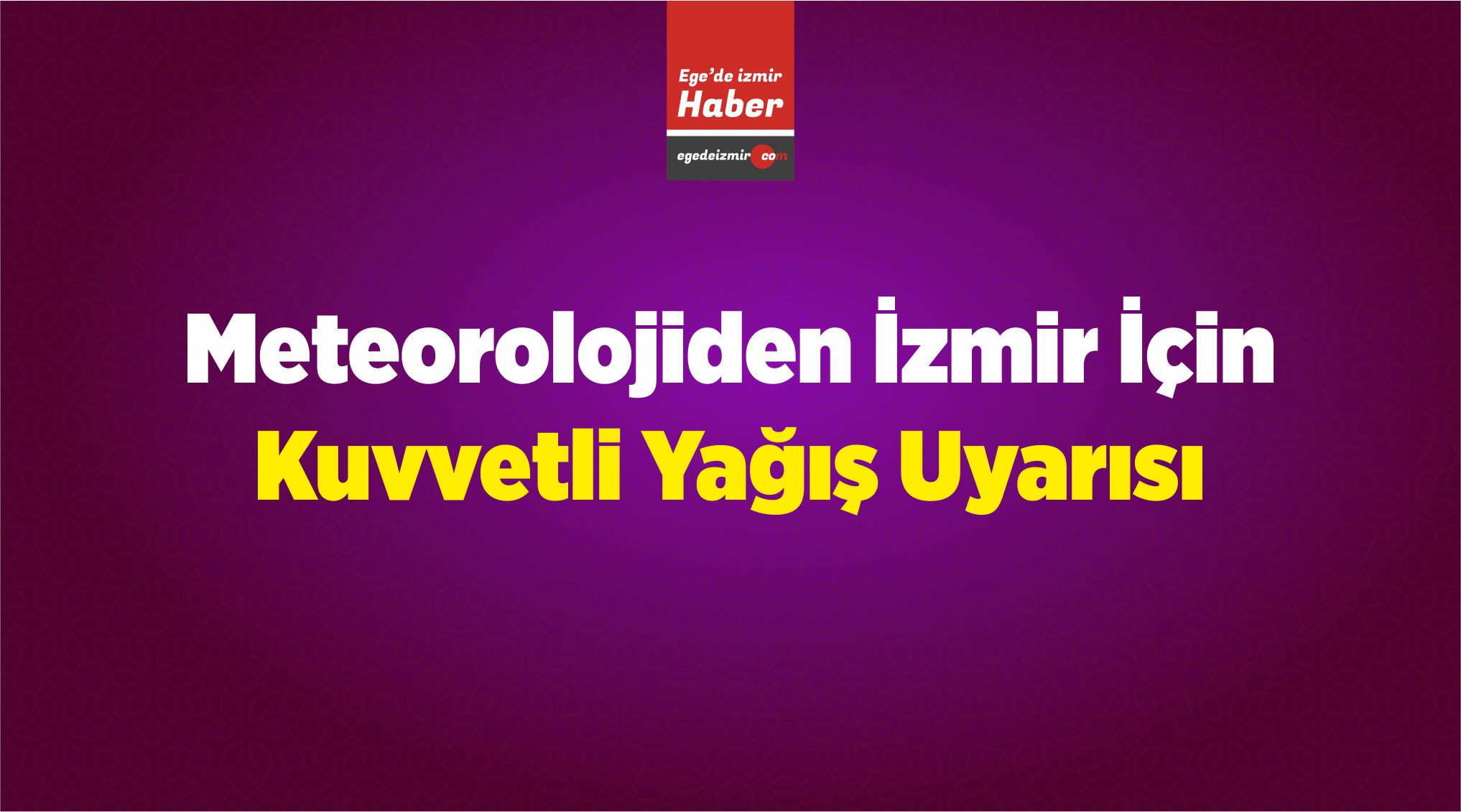 Gül bombastique: Hollandalı güller 2