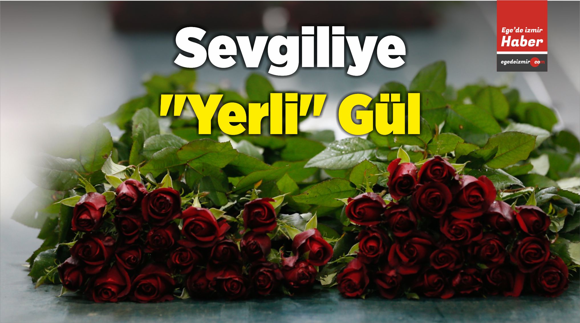 Yerli