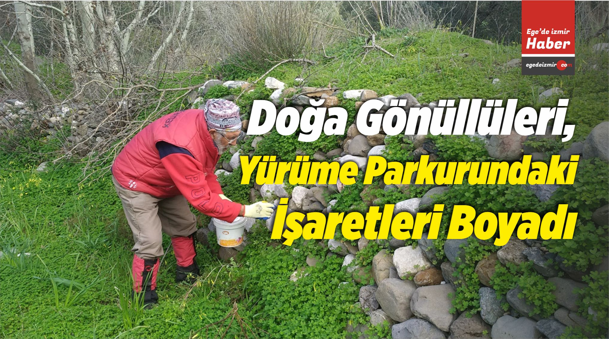 Gönüllüleri