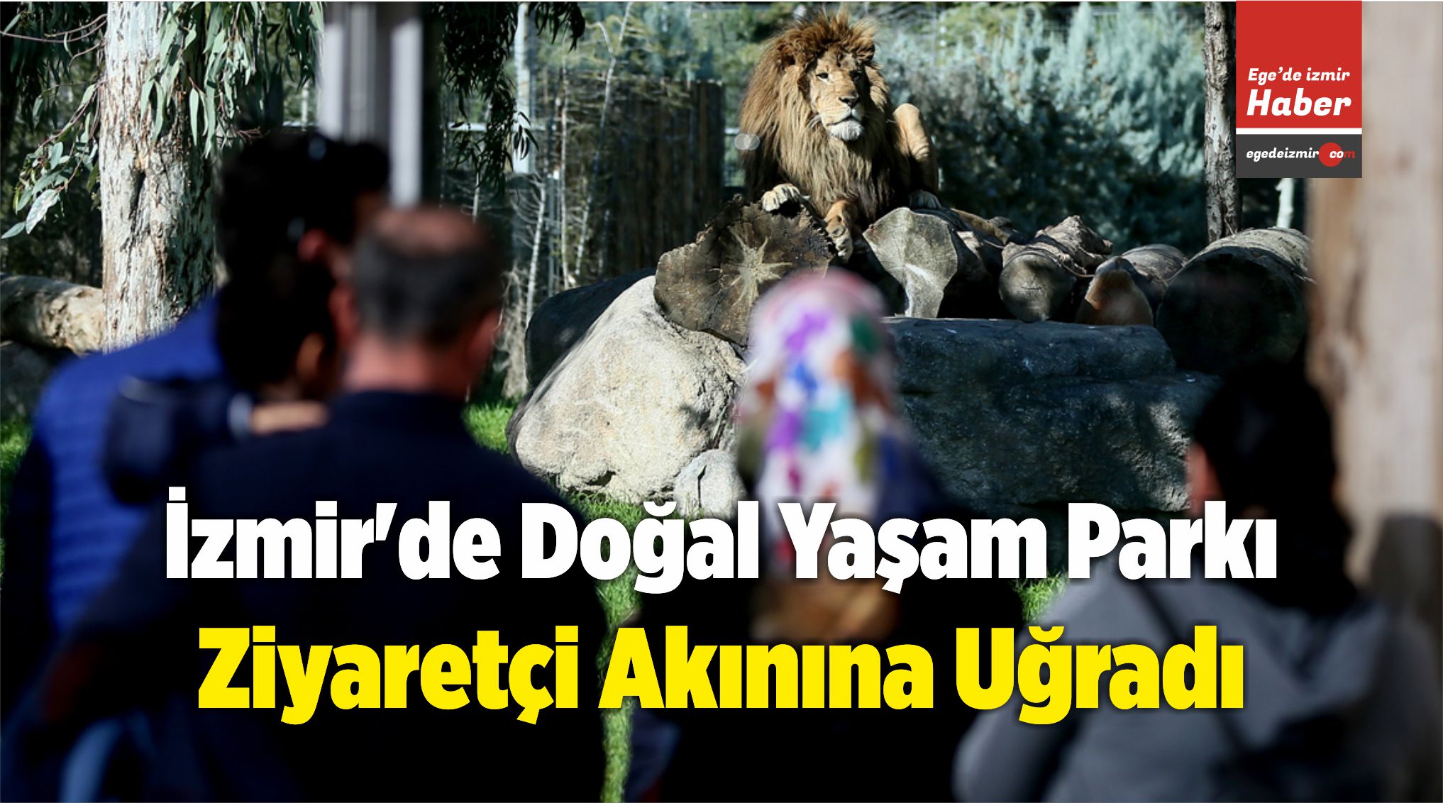 Ziyaretçi Akınına