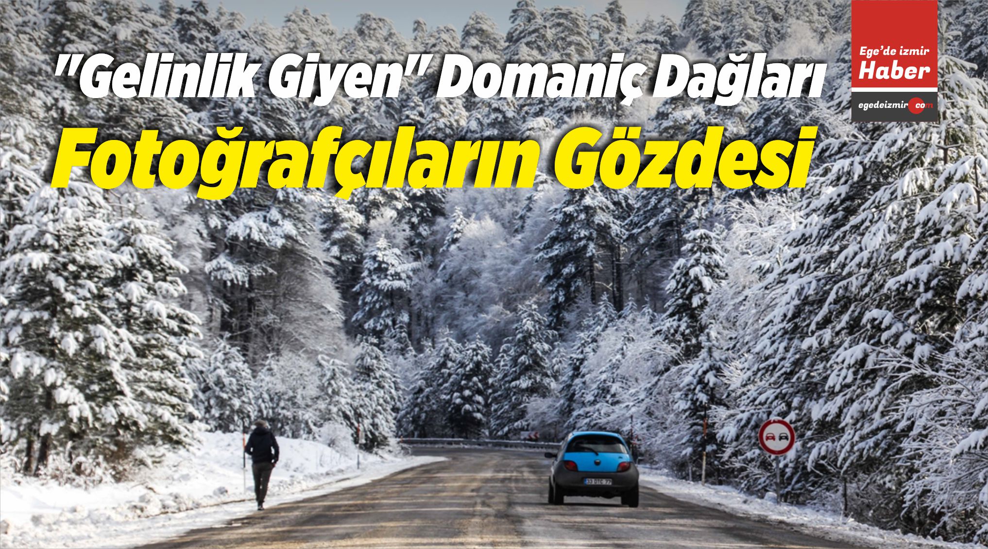 Domaniç Dağları