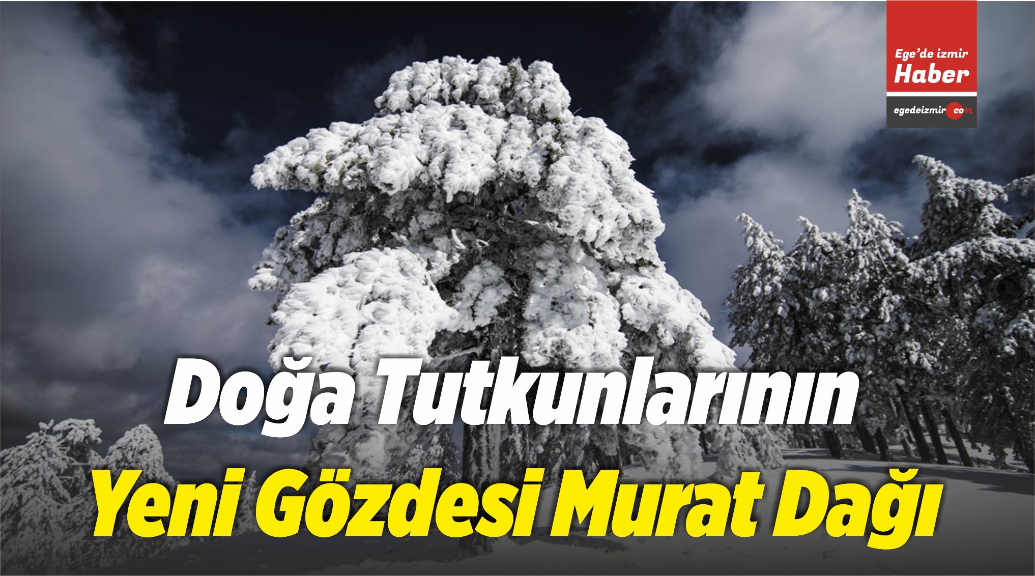 Murat Dağı