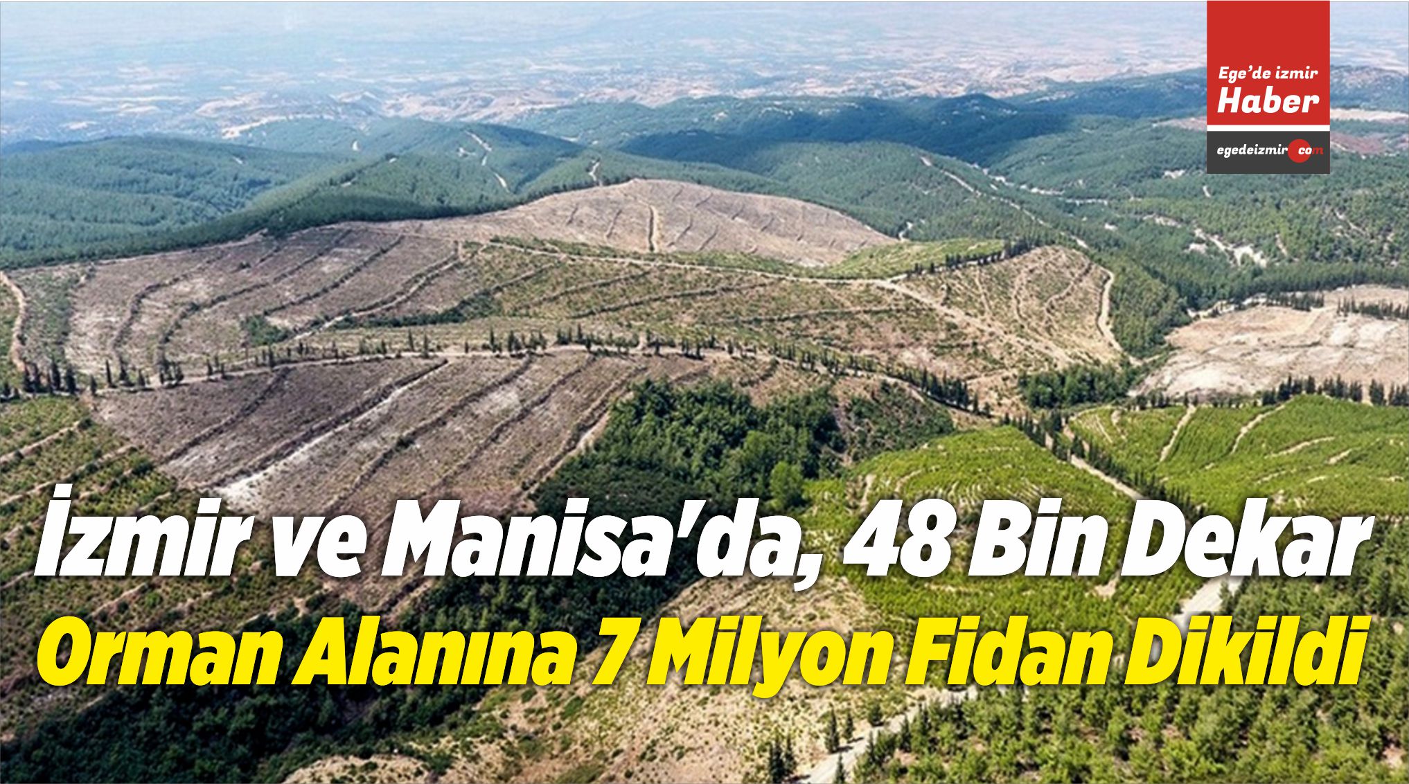 7 Milyon Fidan