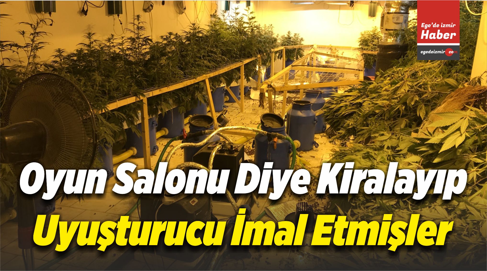 Oyun Salonu