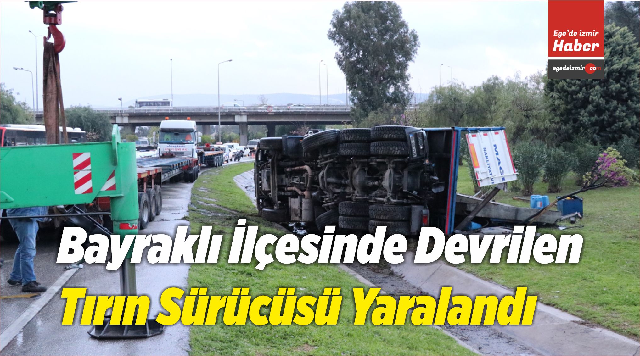 Tırın Sürücüsü