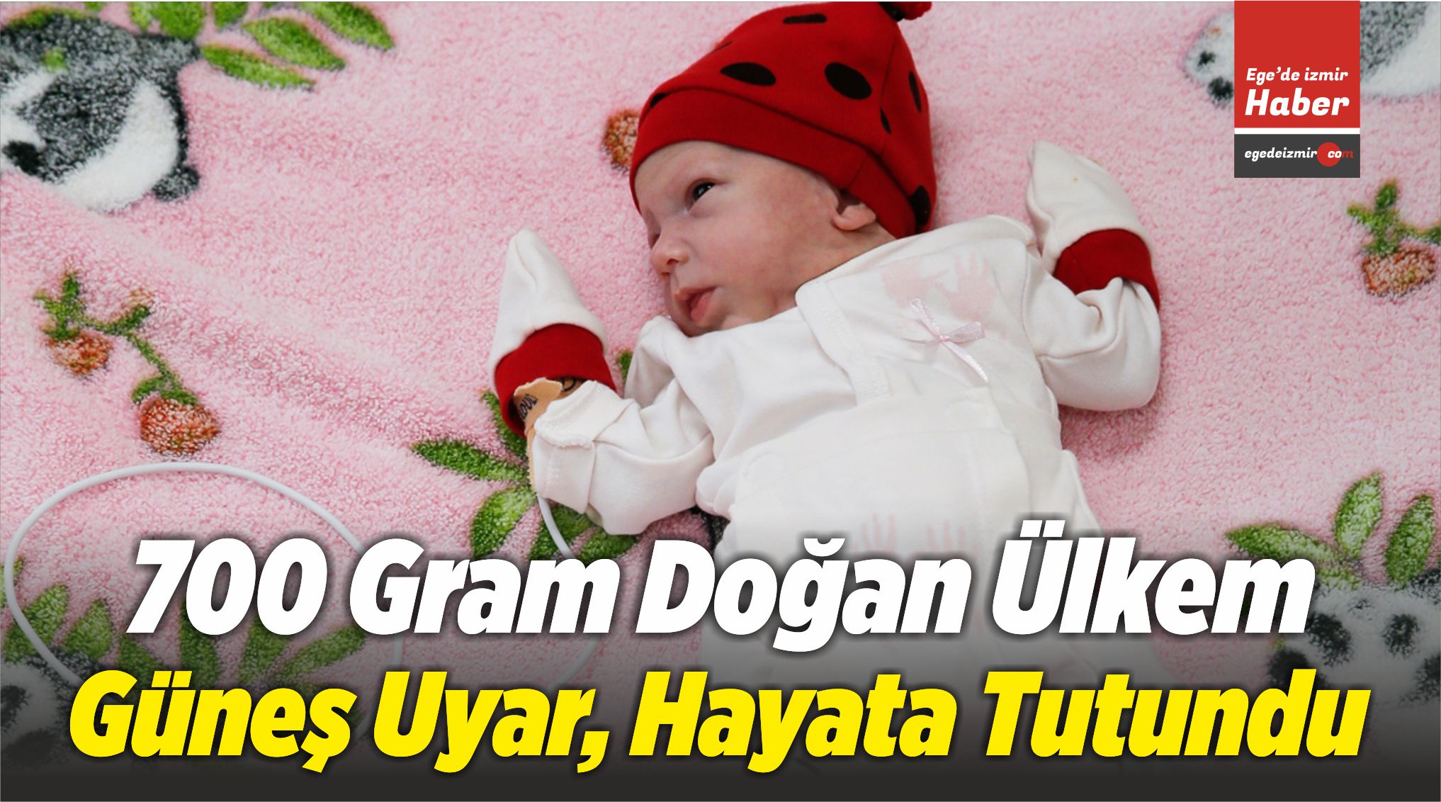 Ülkem Güneş Uyar