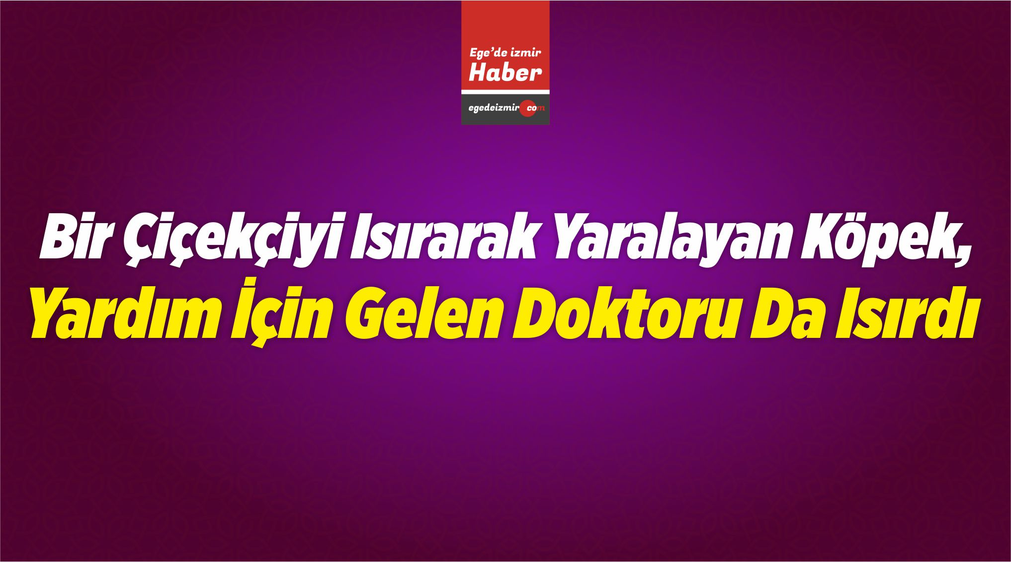 Doktoru Da Isırdı