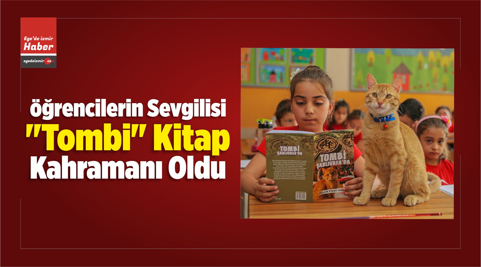 Kitap