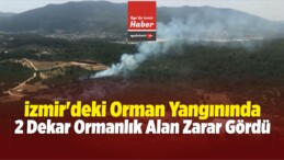 İzmir’de Orman Yangını