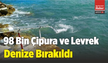 Karaburun İlçesinde 98 Bin Çipura ve Levrek Denize Bırakıldı