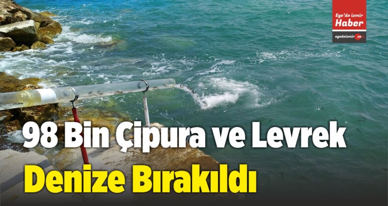 Karaburun İlçesinde 98 Bin Çipura ve Levrek Denize Bırakıldı