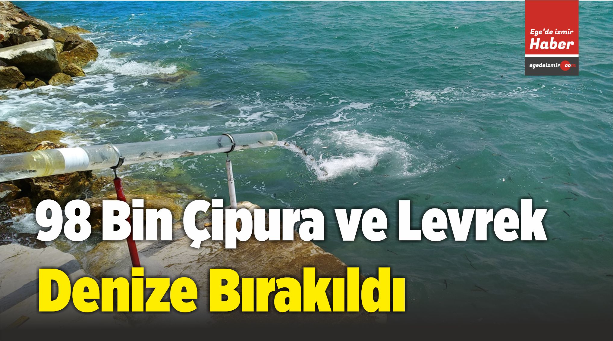 Denize Bırakıldı