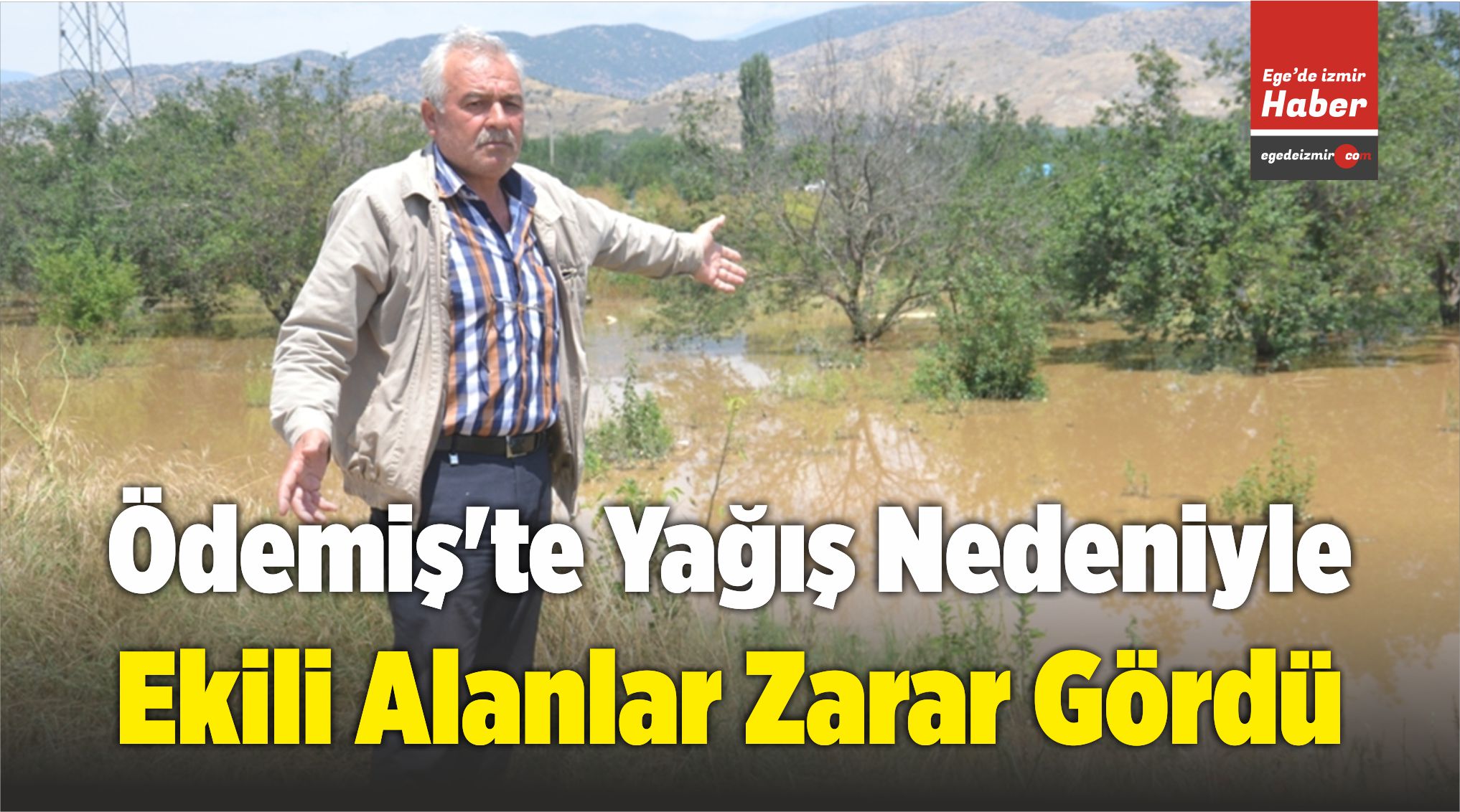 Zarar Gördü