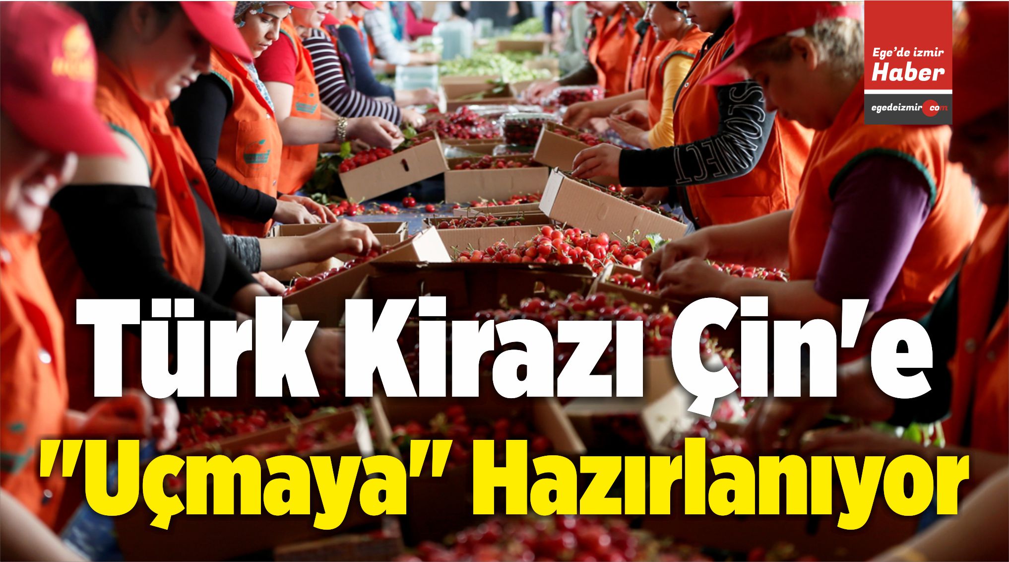 Kiraz Üretiminde