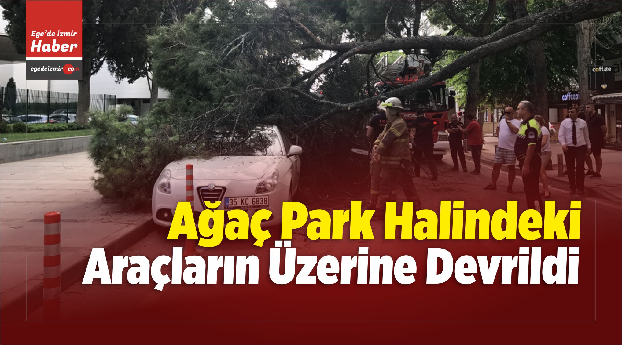 Ağaç