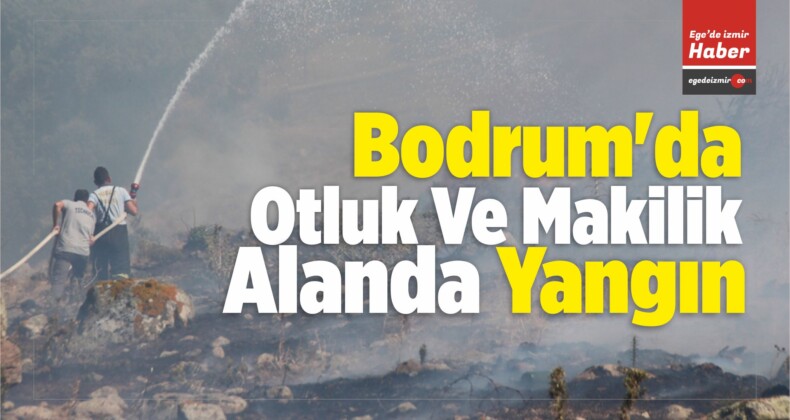 Bodrum’da Otluk Ve Makilik Alanda Yangın