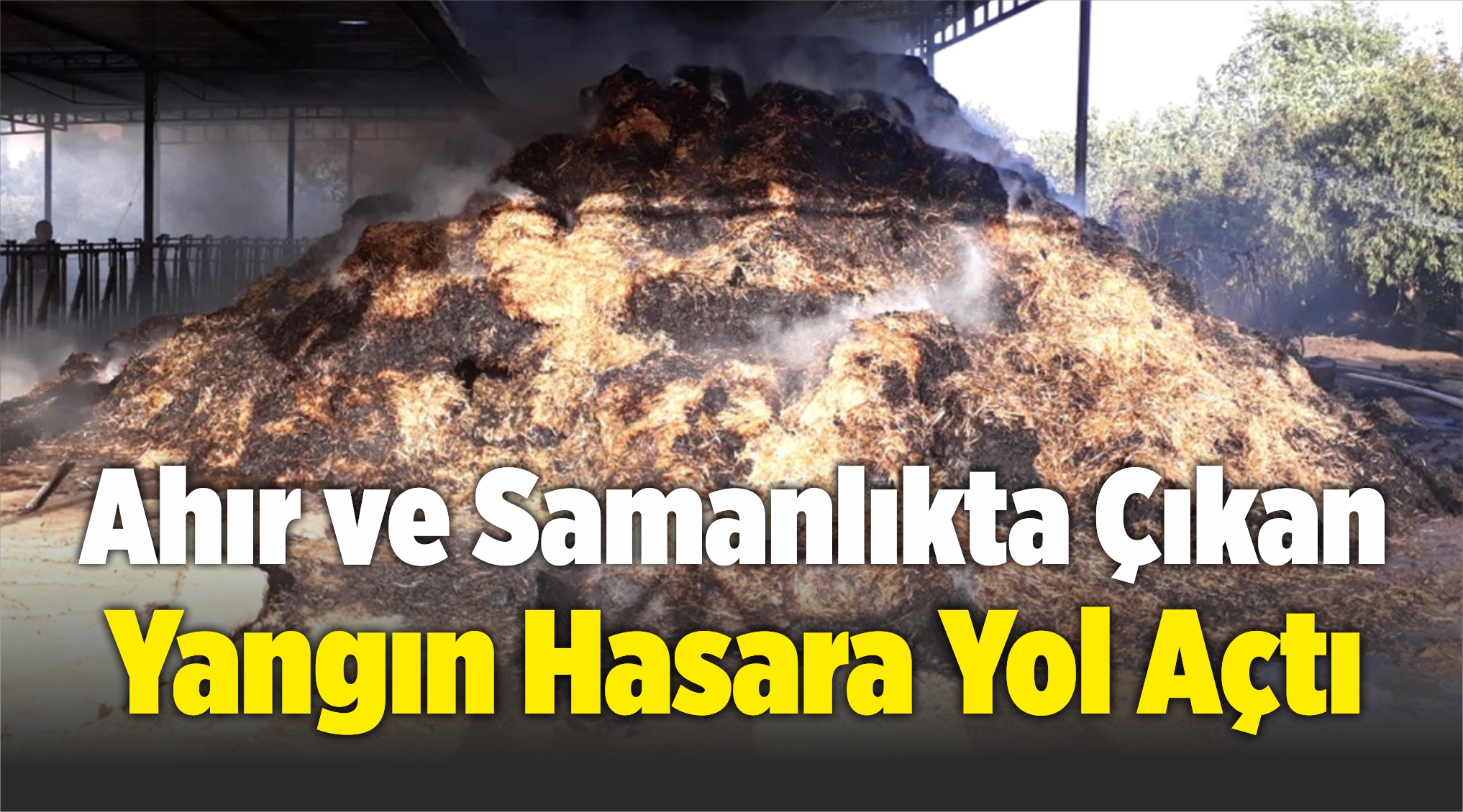 Ahır