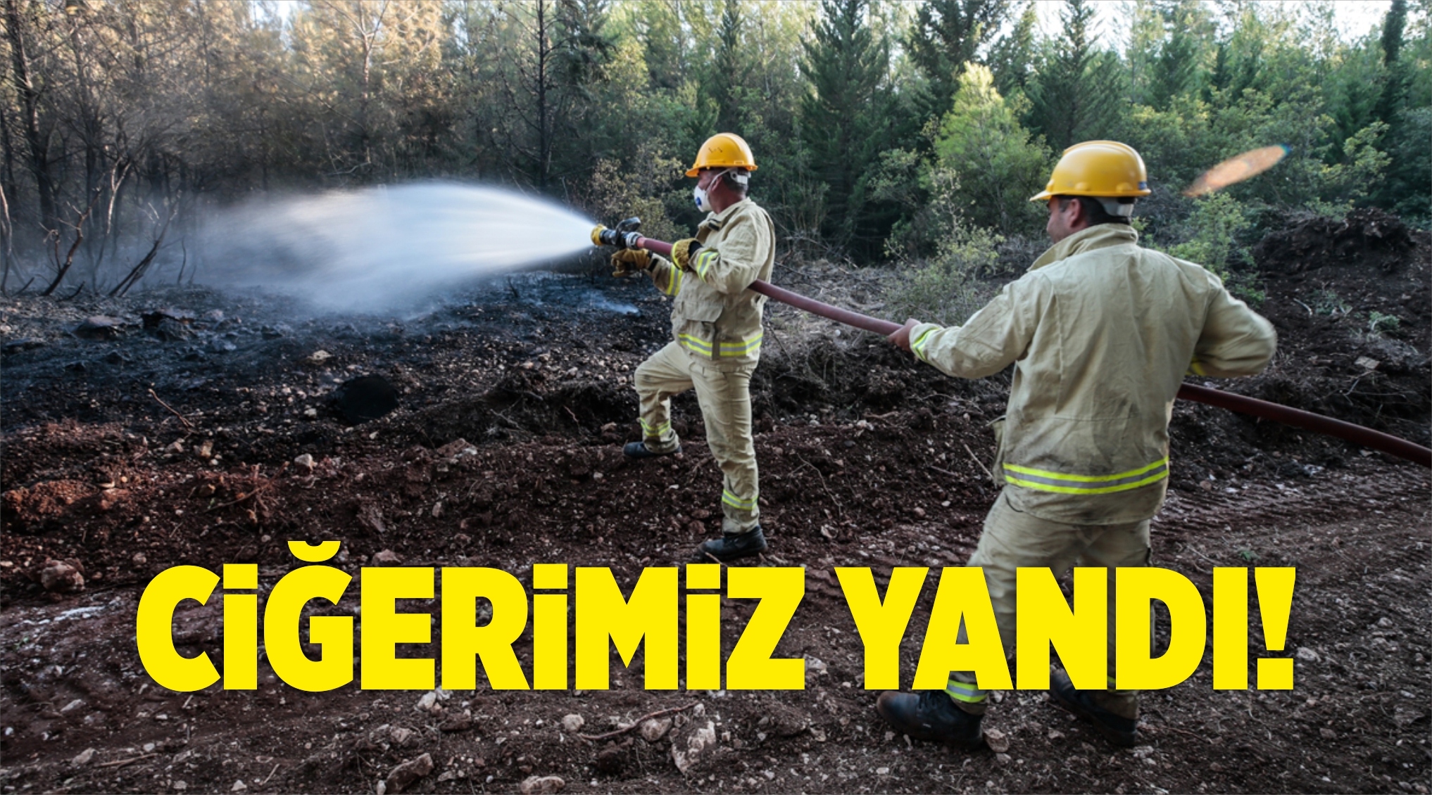 Orman Yangını