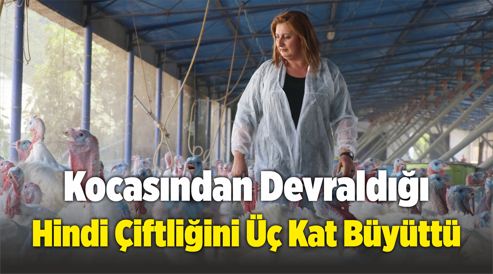 Hindi Çiftliğini