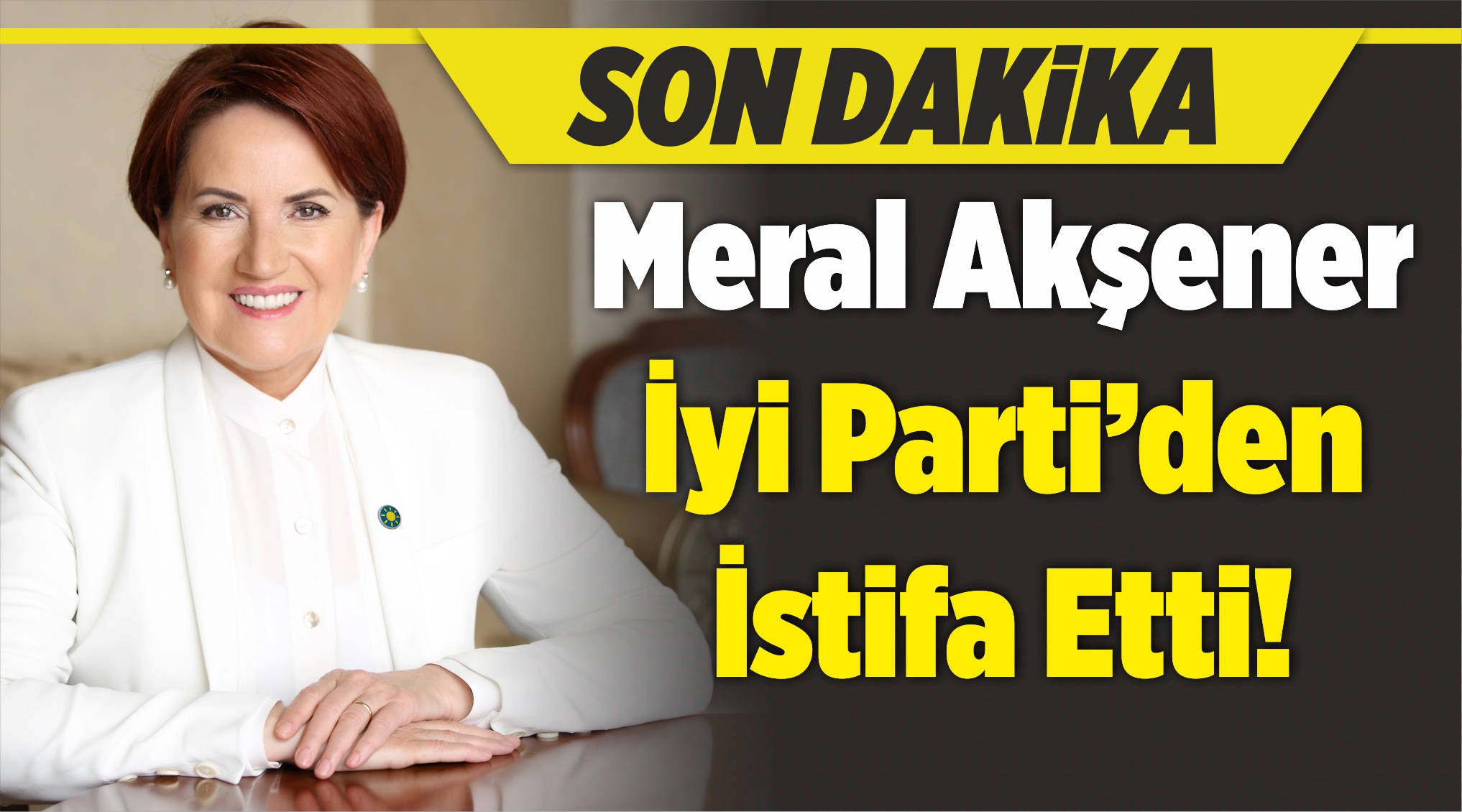 Meral Akşener istifa