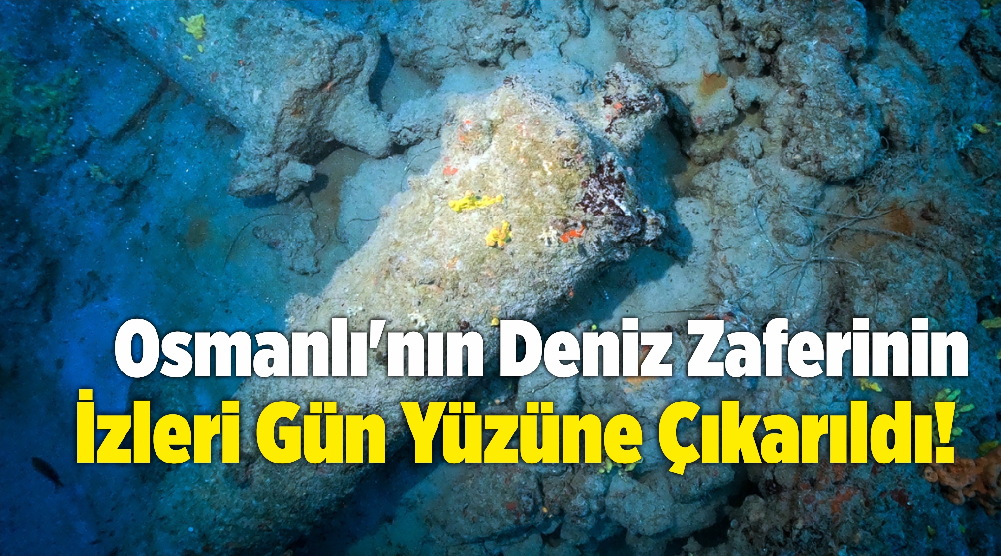 Gün Yüzüne